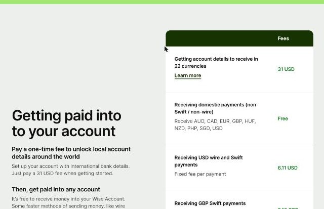Wise Business pricing table showing a 31 USD fee for account details, free domestic receiving and 6.11 USD for USD wire and Swift payments