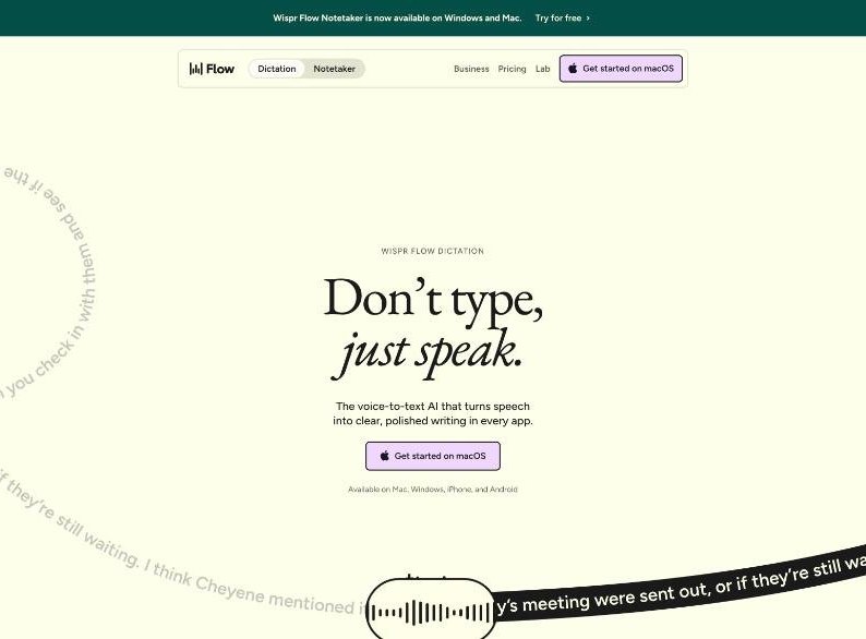 Wispr Flow homepage with the headline Don't type, just speak and download button